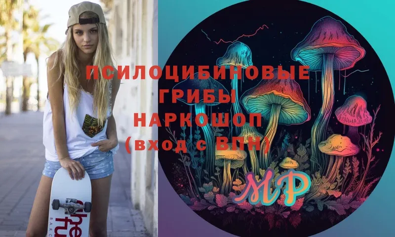 Галлюциногенные грибы Magic Shrooms  закладки  Болотное 